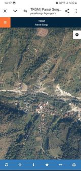 Ana Yola Yakın Doğa Manzaralı....