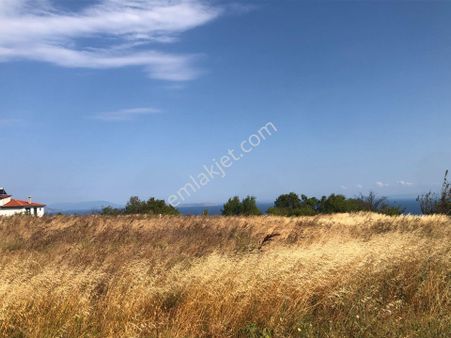 Şarköy De Işık Emlaktan Kirazlı Mah De 1500 M2 0/35 İmarlı Arsa