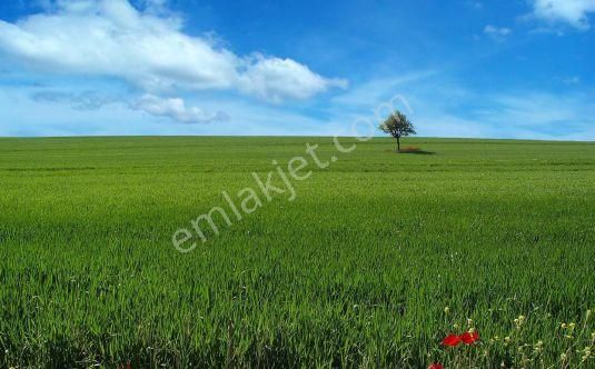 Gölbaşı Yavrucuk 'da Asfalt Elektrik Ve Suyu Olan Hobi Bahçesi Polat Emlak'tan