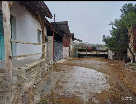 İmrallı Mahallesi 25 Tokalık Besihane Masrafsız Durulabilen Ev Ve 512 M2