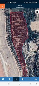 Acil Kelepir Kaysi Bahcesı