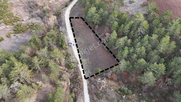 Efendi'den Taraklı Çamtepe'de Yatırımlık Yol Kenarı Tarla