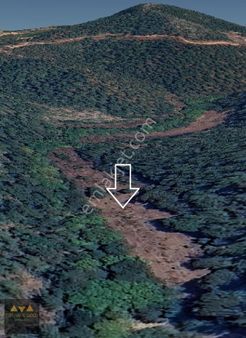 Balıkesir Dursunbey Hasanlar Mahallesi'nde 4,529m2 Kiralık Tarla