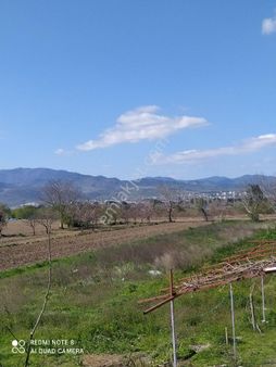 Pergamo Emlaktan Bergama Sindelde Satılık Tarla