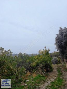 Erdemli Elvan Lıda Harika Konumda Arazi