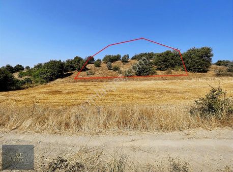 Özbey Emlaktan Avlamışta Yatırımlık Arazi