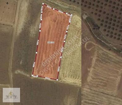 Alaaddin Okçu S A T I Y O R