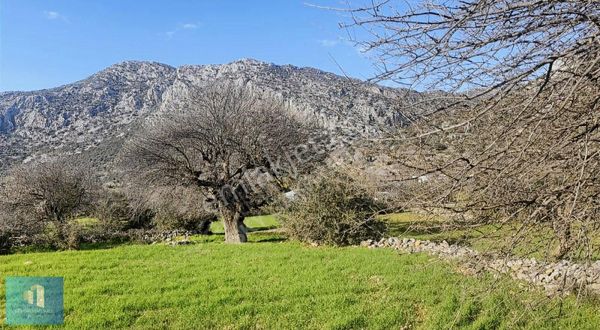 Sky'dan Marmaris Söğüt'te 1700 Metrekare Tarla