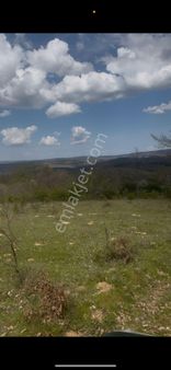 Kocayazıda Satılık 2 Dönüm Tarla