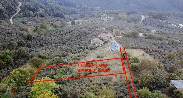 Aktapudan Düzce Kozluk Köyünde %50 İmarlı 1.801 M2 Satılık Arsa