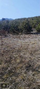 Sakarya Geyve Ilıca'da 10.256 M2 Satılık Arsa