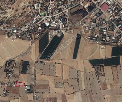 Elekrik Su Yol Var 1655m2 Bağ Emsalsiz