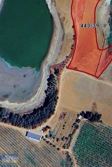 Uşak Eşme Yeleğen Kasabası Baraj Kenarında 6285m2 Satılık Tarla