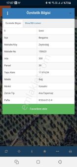 Yeni Yapılan Çandarlı Limanına Yakın Konumda Satılık Zeytinlik