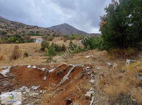 Altıyaka Da Satılık Tarla