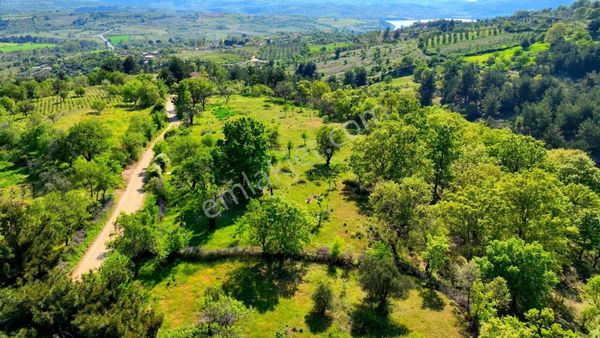Çanakkale Bayramiç Mollahasanlar'da Fırsat Satılık Tarla