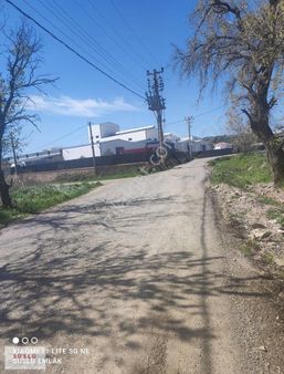 Ayvalık Eski Altınova Yolu Üzerinde Kiralık Depo