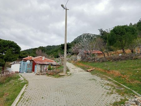 Bergama Çamoba'da Ormana Komşu Manzaralı Ve İmarlı Arsa Satılık