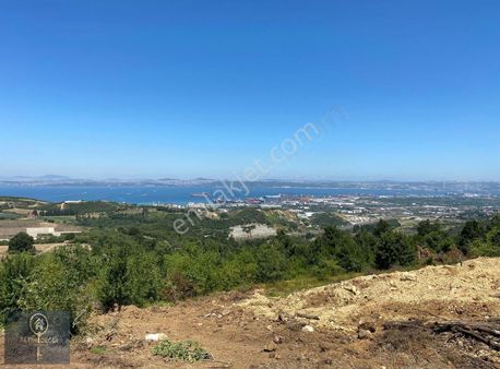 Tavşanlı'da Yatırımlık Deniz Ve Köprü Manzaralı Tarla