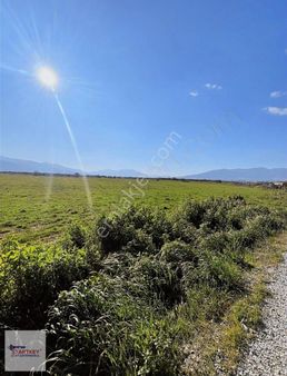 Startkey Star'dan İzmir Kemalpaşa Halilbeyli'de Harika Arazi