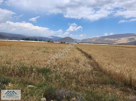 Elmalı Gölova Mah Merkezine Yakın Konumda Satılık Arazi