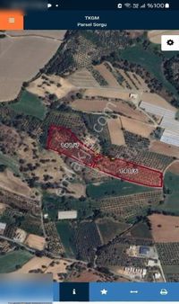 Seydikemer Girmelerde Satılık 10,500 M2 Tarla