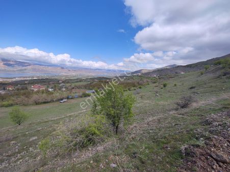 Arıkandan Kalede 20 Dönüm Satılık Tarla