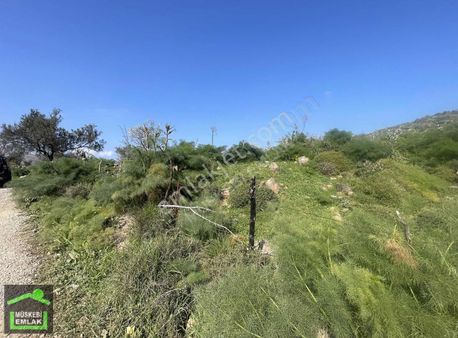 Bodrum İslamhanelerinde Satılık Deniz Manzaralı Tarla