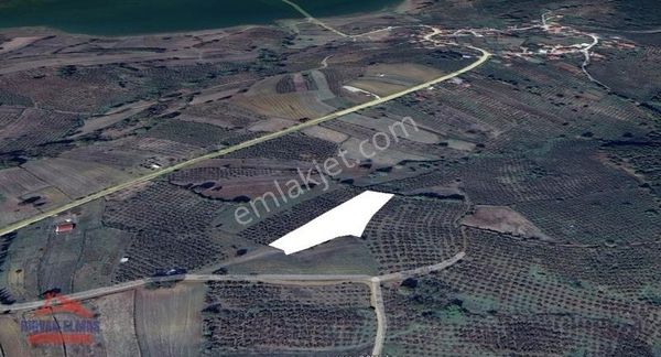 Kandıra Köylerinde Satılık Fındık Bahçesi