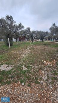 Torbalı Dağ Kızılca Köyünde 350 Metre Satılık Bahçe