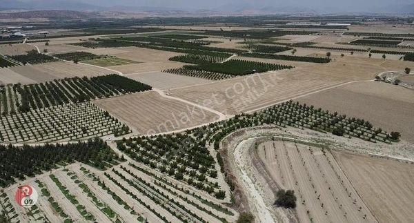 Antalya Korkuteli Esenyurt(karadin)'de Satılık 4.206m2 Bahçe