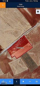 Hobi Bahcesi Olmaya Uygun Mükemmel Bir Konumda