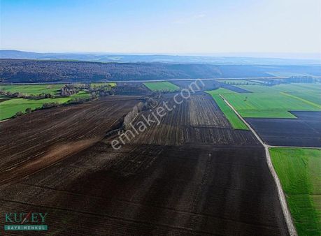 Banarlıda Satılık Tarla 40 Dönüm Tek Parça