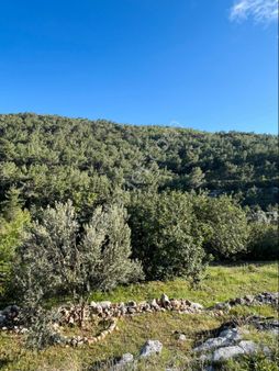 Türe Gayrimenkulden Silifke Bahçederesinde Doğayla İçiçe Satılık Köy İçi Arsa