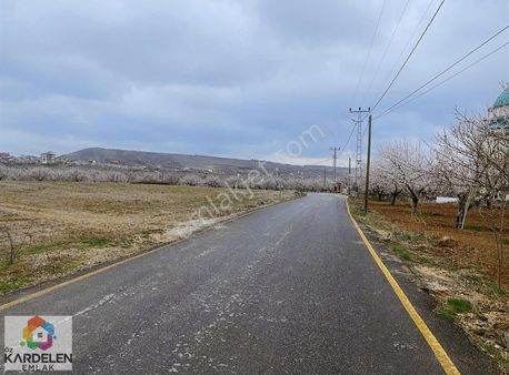 Kardelen Arsa Ve Tarla Ofisinden Satılık 20 Dönüm Kayısı Bahçesi