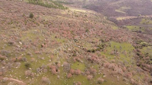 Balıkesir Ayvalık Beşiktepede Fırsatt Fiyata Günes Paneli Tarımsal Yapıya Uygun Tarla