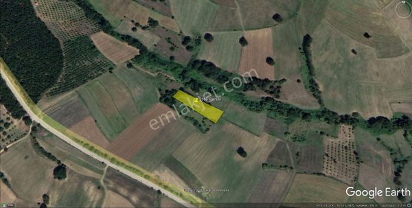 Tek Tapu Tarla - İzmit Yenice Eğreltilik Mevkiinde Satılık Tarla