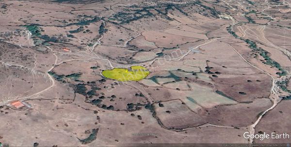 Tek Tapu Tarla - Müstecap Alan Mevkiinde Yola Cephe Satılık Tarla