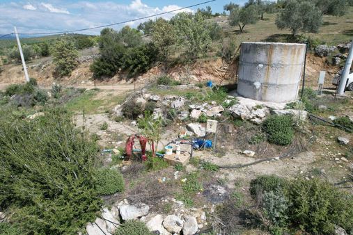 Uras Gayrimenkul Den Satılık Zeytinlik