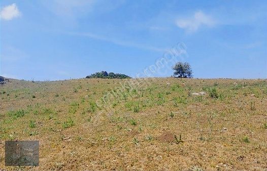 Balıkesir Kınık Köyünde Yatırımlık 332 M2 Satılık Bahçe