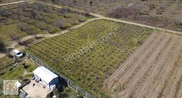 Gökçealan Köyünde Satılık Kadastral Yola Cepheli Üzüm Bağı