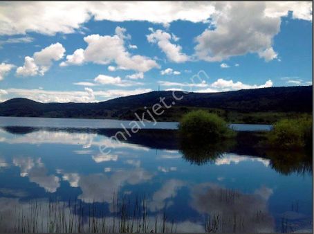 Ankara Ayaş Çanıllı Uluyol Tek Tapu Elektrik Su Yol Hepsi Mevcut Kupon