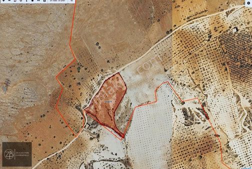 Zeugmaparktan Işıklıda Yatırımlık Arazi