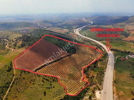 Salihli De Satılık 93517 M2 Zeytinlik Ve Tarla (video)