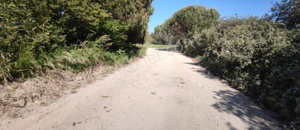 Eral Gayrimenkul'den Erdek Yukarı Yapıcı'da Satılık 1853m2 Tarla