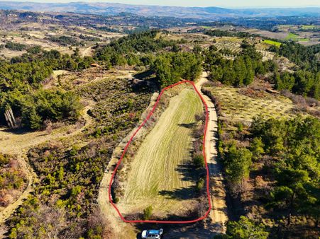 Gördes Kayacık'ta Çam Ormanlarının İçinde 3300 M2 Hobi Bahçesi