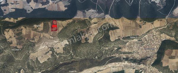 Kula'da Satılık 29162 M2 Tarla