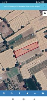 Fethiye Yeşil Üzümlü De Satılık Tarla