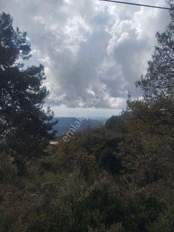 Yerleşim Alanıiçinde Manzaralı