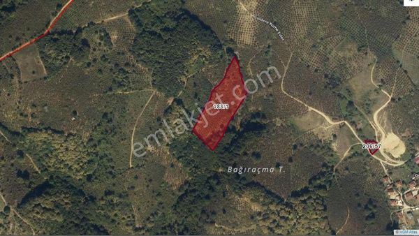 Akmanoğlu Emlak'tan Satılık Güldere Köyünde 10,344 M2 Fındıklık